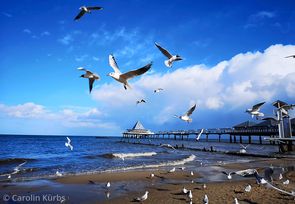 ostsee