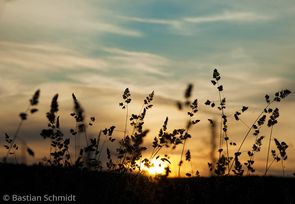 sonnenuntergang