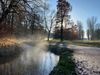 Gewinnermotiv des Fotowettbewerbs „Wald, Wärme, Leben“