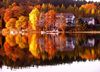 Gewinnermotiv des Fotowettbewerbs „Wald, Wärme, Leben“